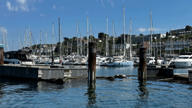 Seals were lounging about as we motored out of Brixham.