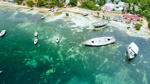Port Basse-Terre, Île de la Tortue.